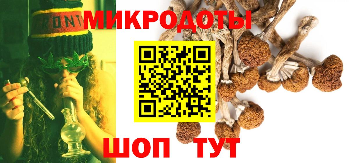 Вязьма  Псилоцибиновые грибы Psilocybine cubensis  Вход с VPN  Псилоцибиновые грибы Psilocybe 